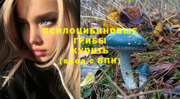 дурь Карпинск