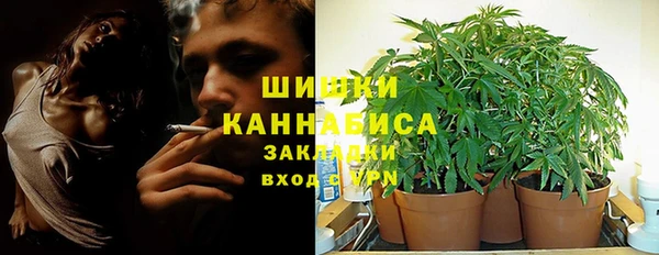 дурь Карпинск
