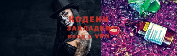 дурь Карпинск