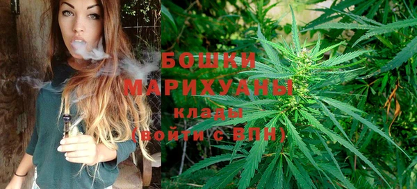 дурь Карпинск